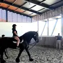 Equitação