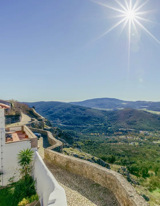 Dom Dinis Marv&atilde;o