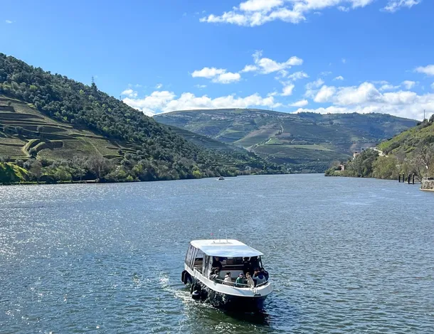 Douro Royal Valley Hotel SPA