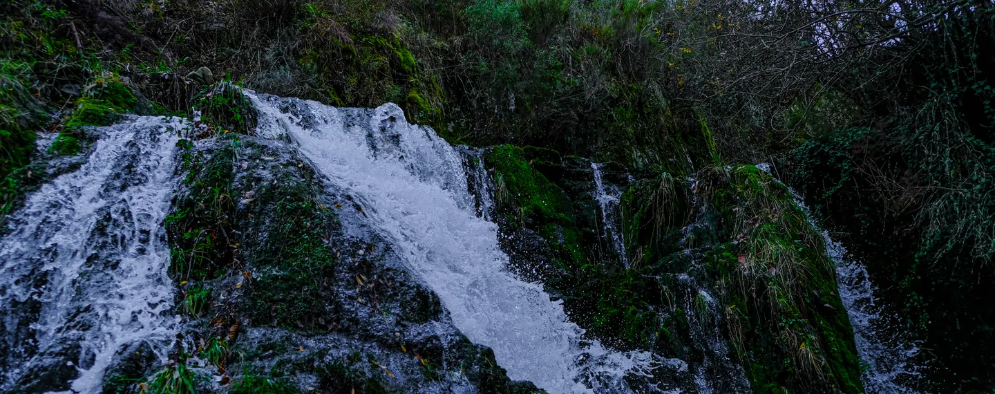 Quinta da Foz da Lousã - Espaços Comuns Quinta da Foz da Lousã - Espaços Comuns