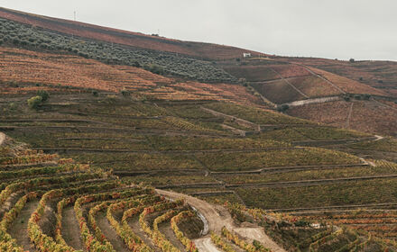 landscape_day