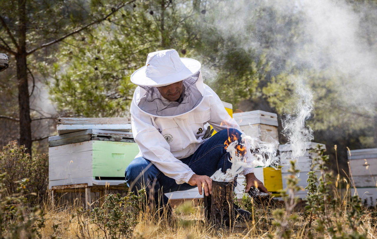 Honey Experience