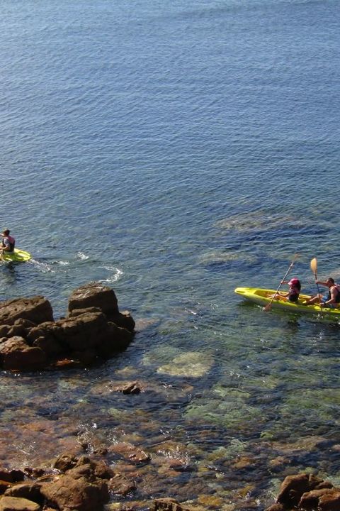 <b>WIND4ALL</b>Stand Up Paddle, Kayak, Wind Surfing