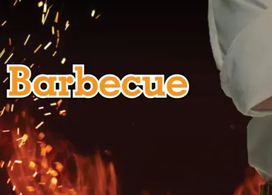 Barbecue four seasons