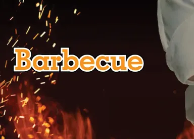 Barbecue four seasons