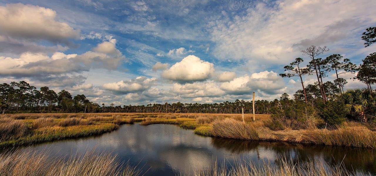Explore Steinhatchee River