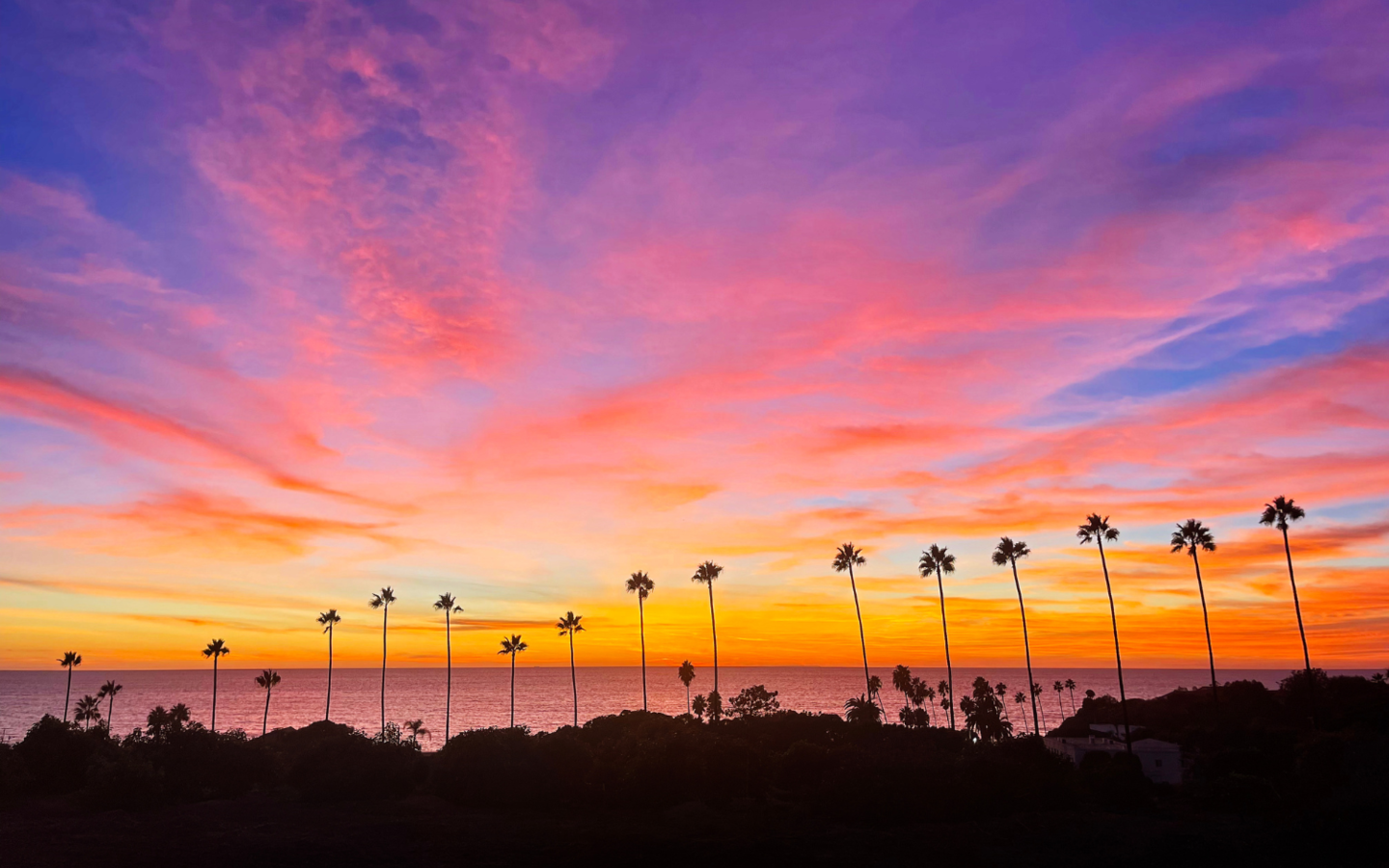 Enjoy a beautiful sunset