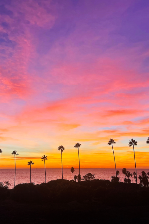 Enjoy a beautiful sunset 