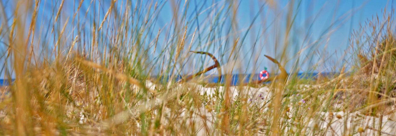 In the summer, OZADI offers its guests free transport to Cabanas beach.