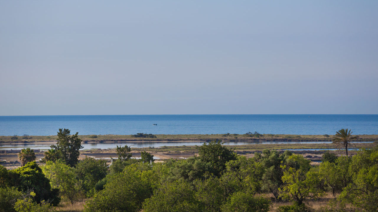 book with us the best days of birdwatching