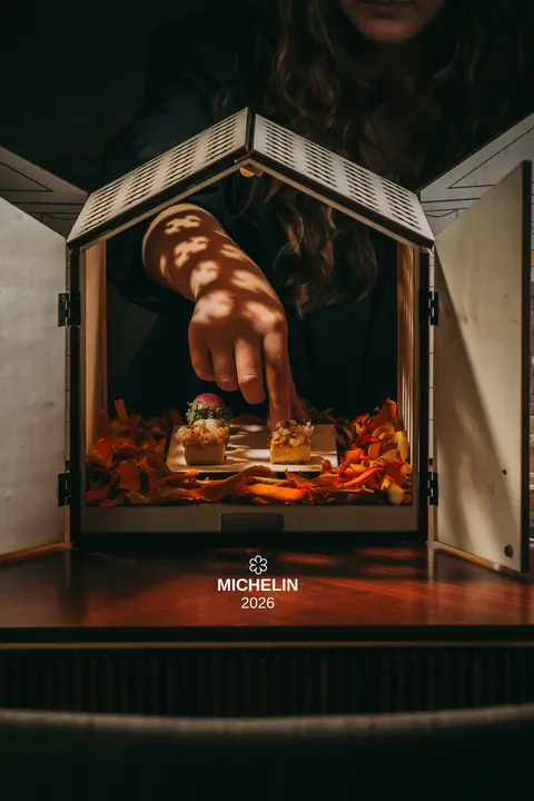 Gastronomy of the Senses