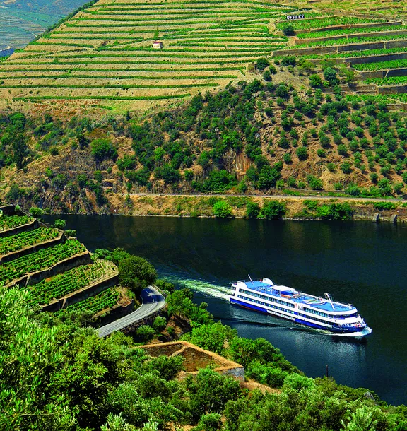 Douro Palace Hotel Resort & SPA - Douro