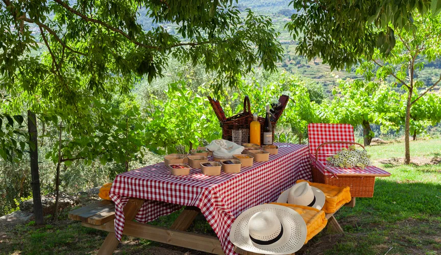 Douro Palace Hotel Resort & SPA - Piquenique