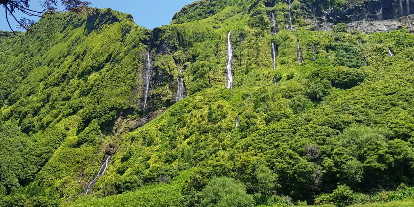 Book the Best Experiences in Flores and Corvo Islands