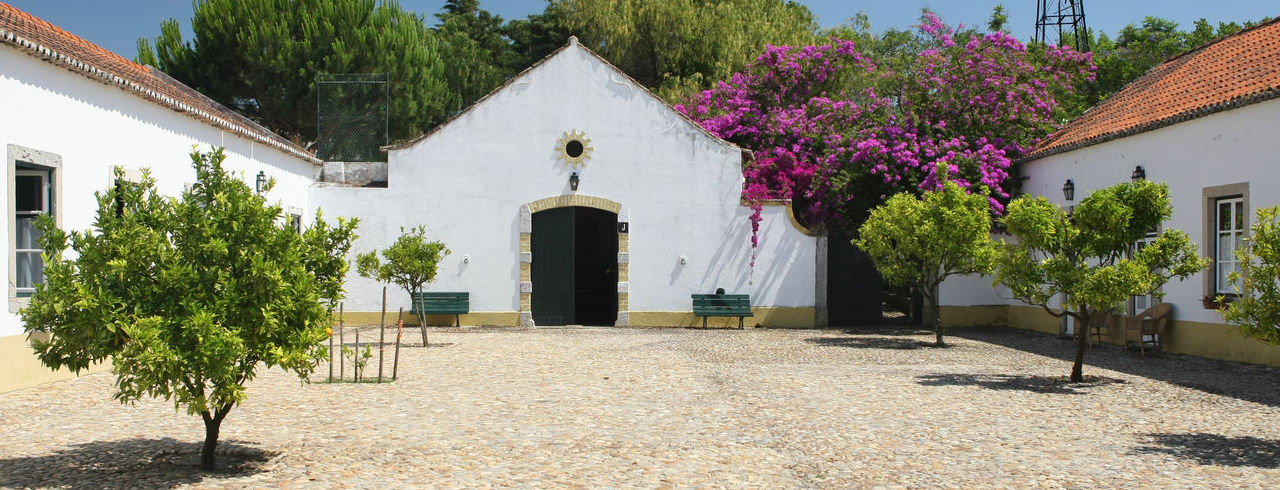 Welcome to Quinta da Praia das Fontes