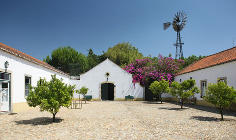 Welcome to Quinta da Praia das Fontes